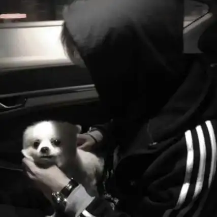 男生与狗狗头像男生与狗狗头像图片