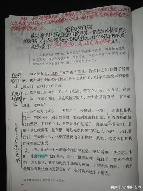 六年级13课《金色的鱼钩》笔记及知识,妈妈再也不用担心我的语文