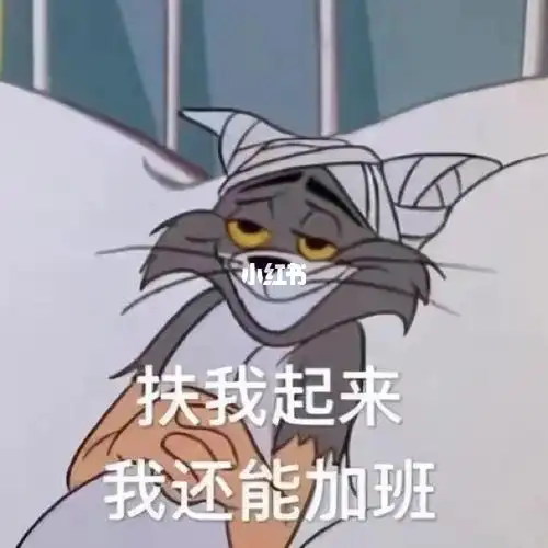 加班使我快乐