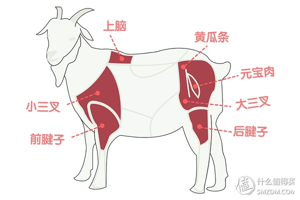 秋膘最后一贴,热气羊肉吃个饱!