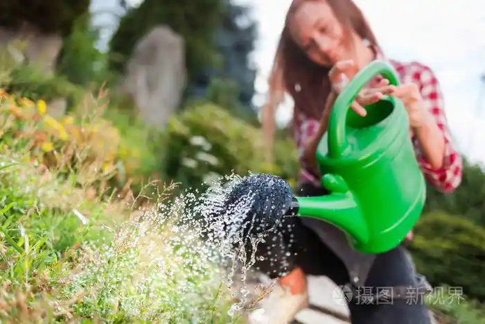 夏天女园丁给花园里的植物浇水