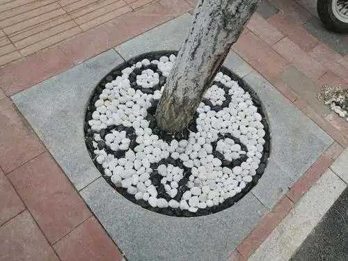 市城管执法局 服务社会生活 提升综合治理能力