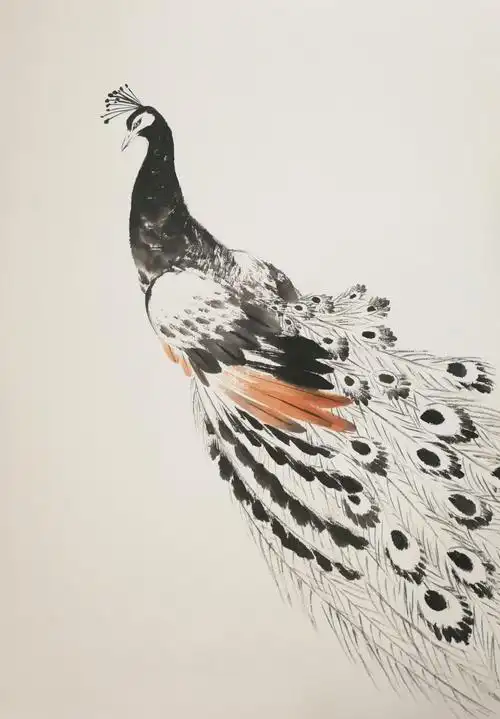 国画 孔雀