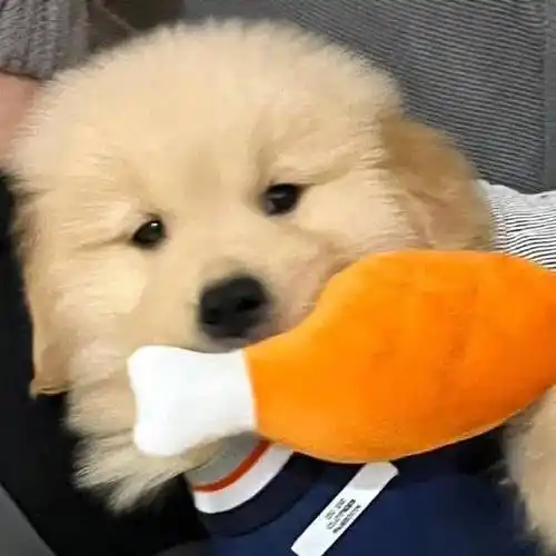 头像小众高级艺术感头像