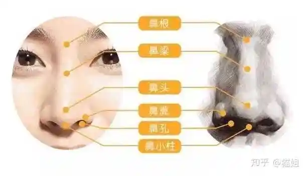 缩鼻头鼻翼是什么样的体验