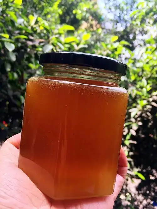 深山老林出好蜜--大排蜂蜜(俗称岩蜂蜜,崖蜜)完整篇