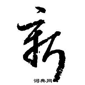 新草书怎么写好看新字的草书书法写法新毛笔草书书法欣赏