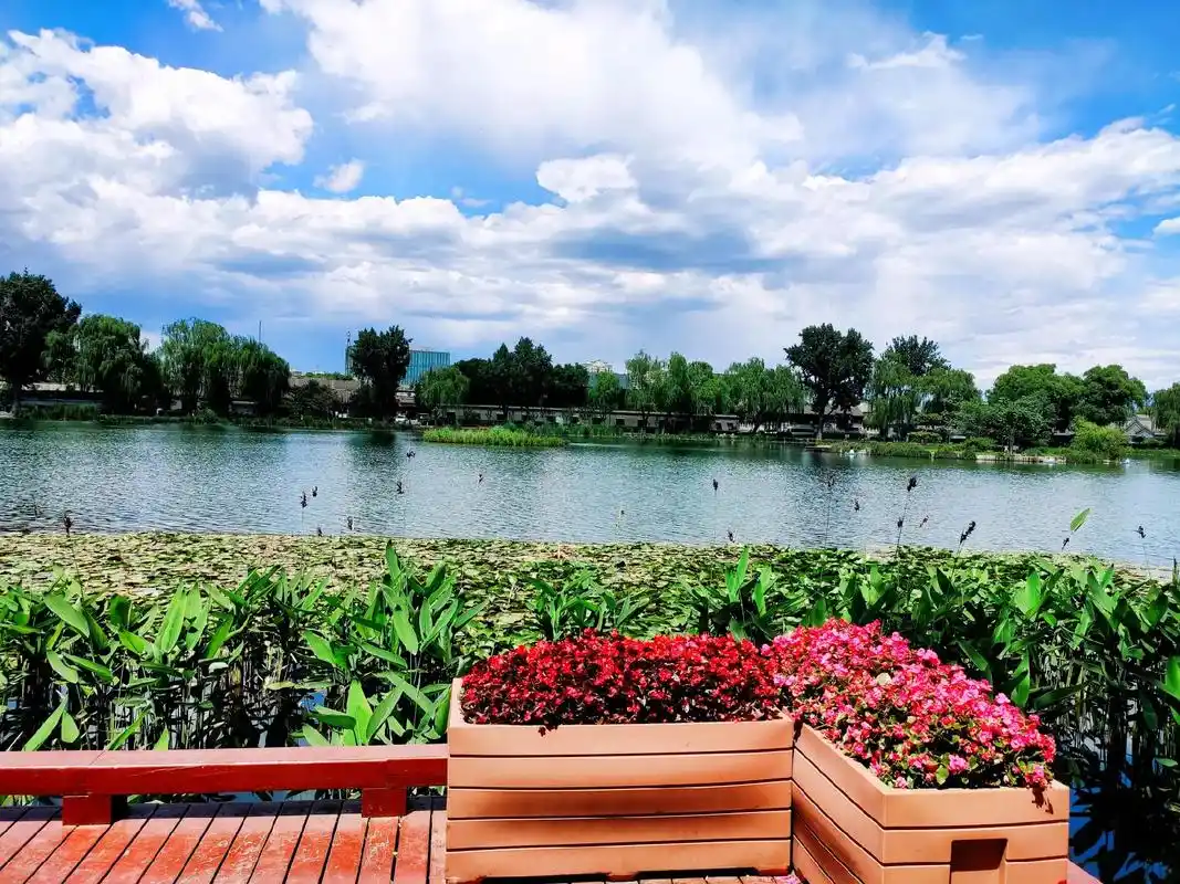 什刹海西海湿地风景如画.北京什刹海 西海湿地公园西海北沿,  - 抖音