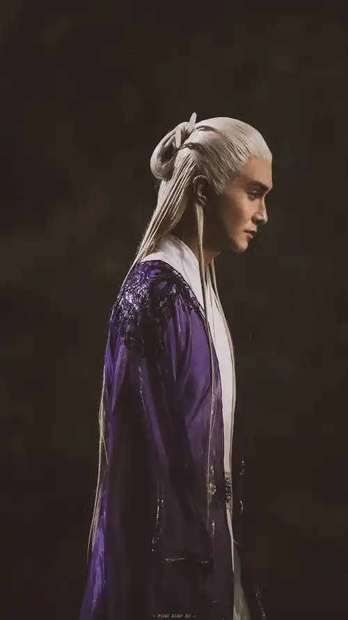 三生三世枕上书东华帝君——高伟光