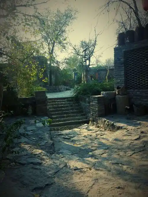 青砖蓝瓦,古藤老树,慵懒的看家狗,三三两两静坐的老人,在夕阳的斜射