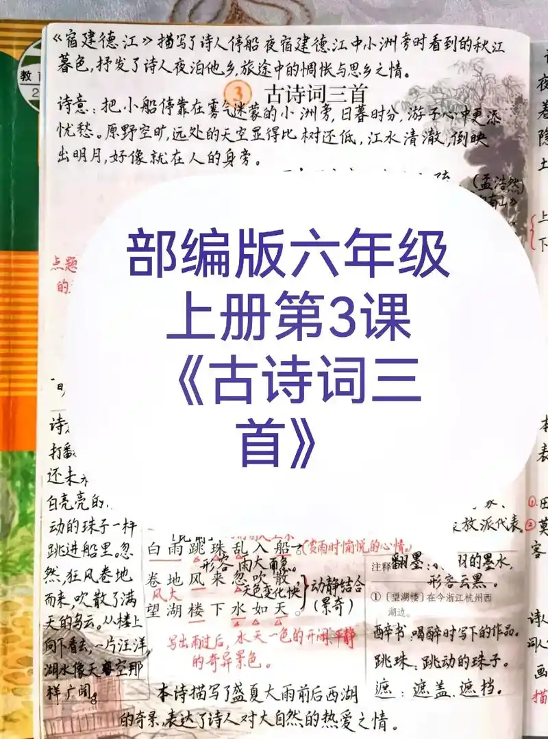 部编版#语文#六年级  上册第3课《古诗词三首》#预习  笔 - 抖音