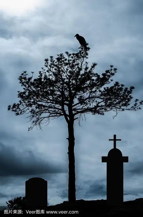 墓地里一棵阴森森的树