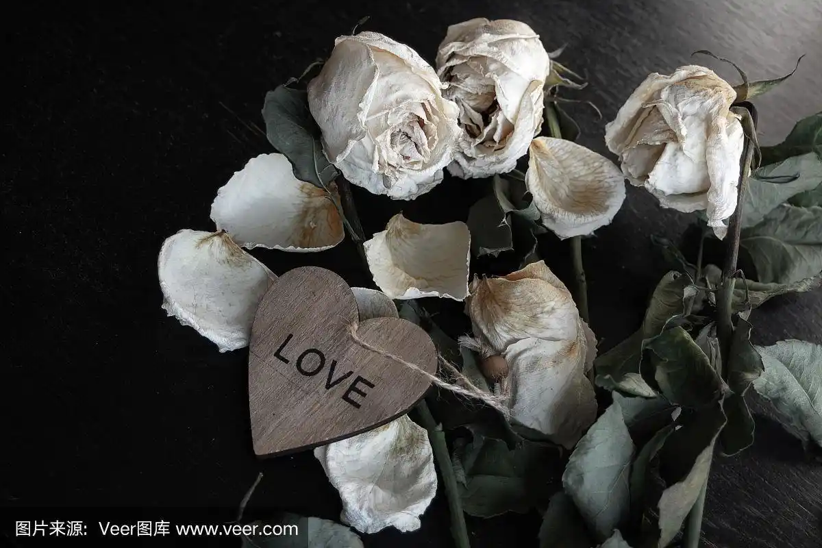枯萎的玫瑰花和撕成半张纸的心,概念一颗破碎的心