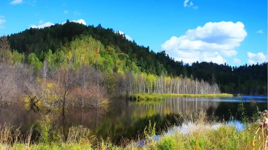 伊春,初秋的小兴安岭