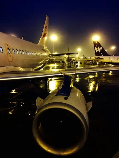 等待发布时间:2017-05-05 分享 评论 喜欢 摄于重庆江北国际机场,大雨