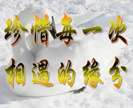 这是一句古老的谚语,告诉我们要珍惜那些帮助过我们的人,永远记住他们