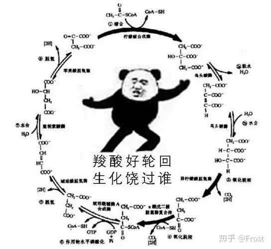 有哪些有趣的医学生专用的沙雕表情包