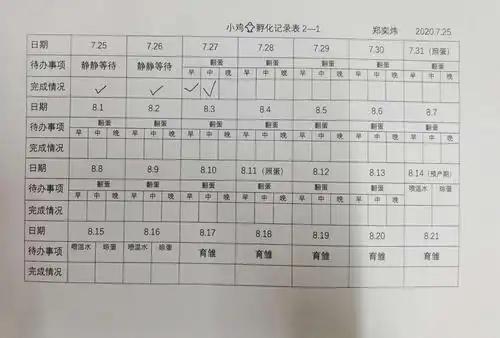 为了能更好的观察和记录小鸡孵化的过程,特地制作了一张记录表.