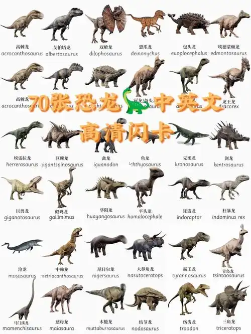 97全网都在找的中英文恐龙03闪卡