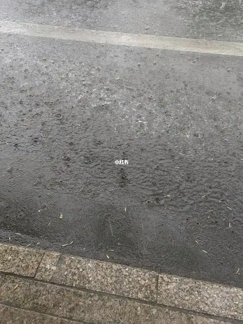 这雨下的太大了吧