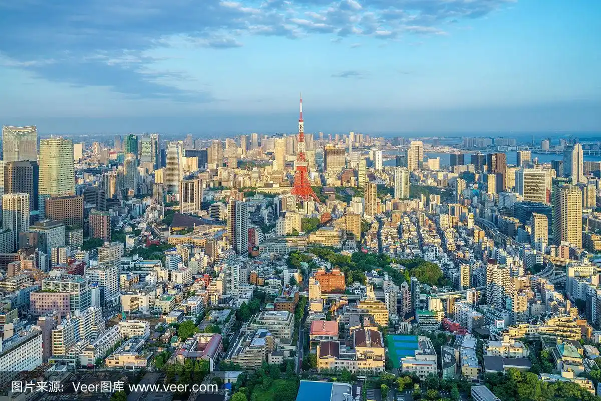 日本东京的鸟瞰图