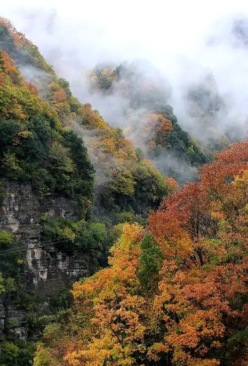 层林尽染,叠翠流金