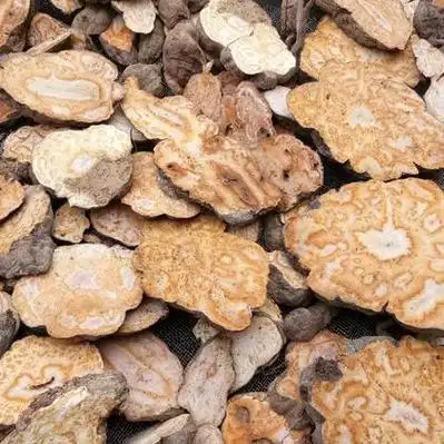 何首乌价格行情_今日何首乌价格多少钱一斤 _ 一亩田