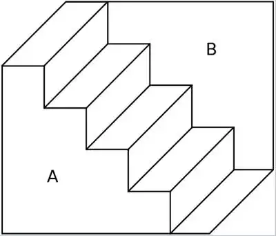 2020年度最佳视错觉第一名3d施罗德阶梯