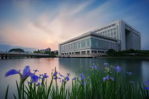 我眼中的中南大学