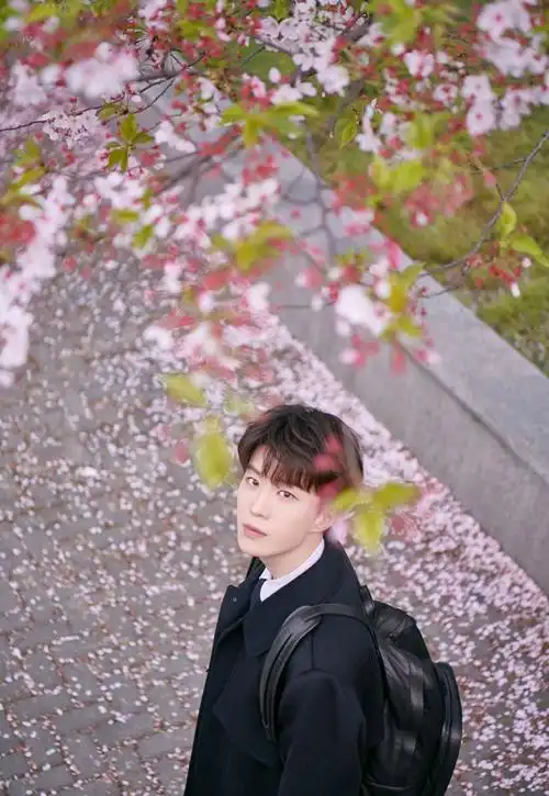范丞丞晒春日樱花大片浪漫樱花配元气少年妥妥花美男既视感