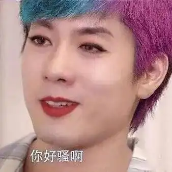 你好骚啊(彩虹头版) - 好骚男孩洪世贤_洪世贤_好骚_斗图表情