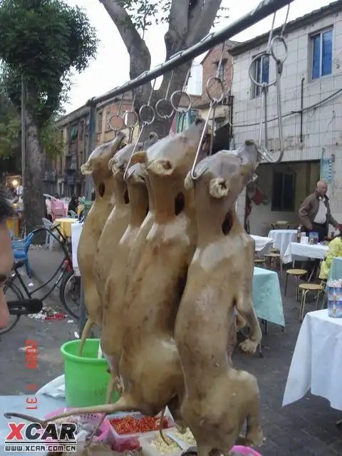 但就是见了这个极为反感,叫做雷州白切狗,呸 附件: 回复