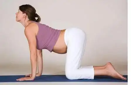 4个适合孕妇维持好身材的瑜伽动作1