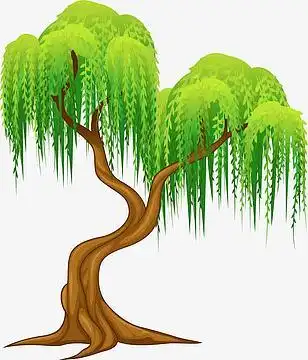 卡通柳树图案
