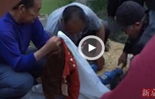 杀童嫌犯连环行凶揭424事件徐增志疯狂之路组图