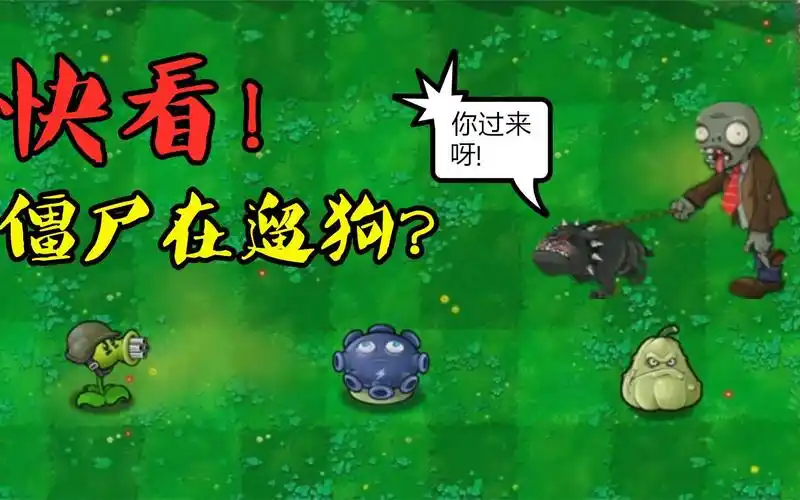 pvz:当遛狗僵尸拥有100000血量,30000阳光预算,谁能战胜它?