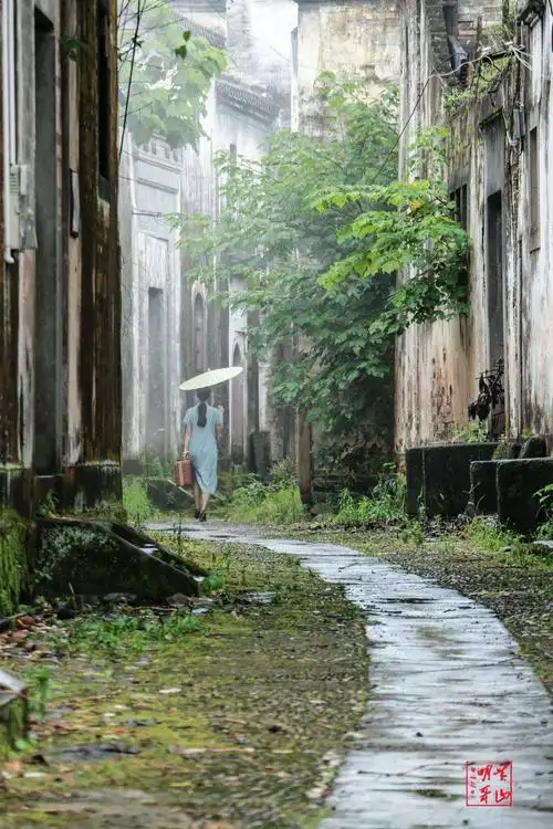 其它 《雨》 写美篇作者/随善 如果说 江南的雨 是一首 温润的小诗