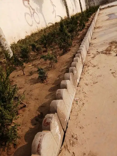 花池边用花边的砖砌起来,又多了一道风景