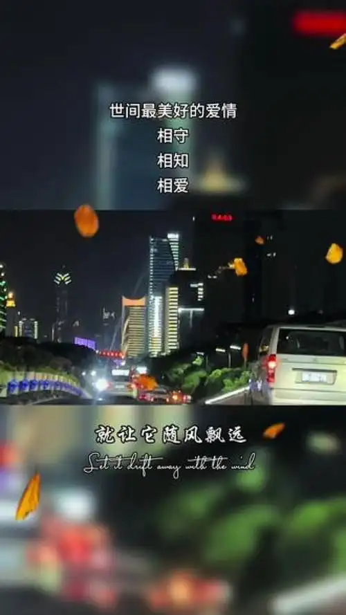 深夜情感语录#随心文案 #城市的夜晚 #触动心坎的那些话 #情感语录