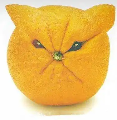 水果造型萌萌哒