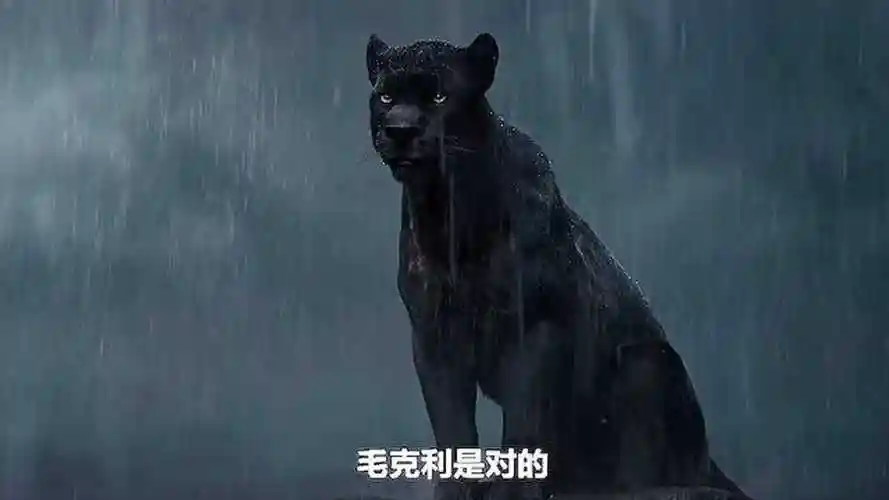 人类被黑豹和狼王养大6岁半就刹了老虎连巨蛇看他都害怕