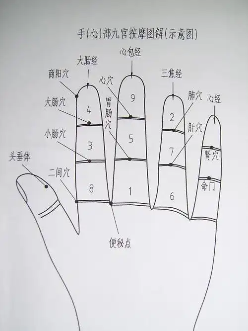 五音六字八卦五行五脏(六腑)连环九宫格按摩对应 - qzhdf989 - qzhdf