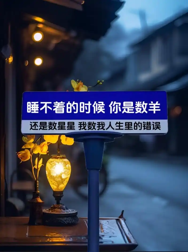 睡不着的时候你是数羊,还是数星星我数我人生里的错误