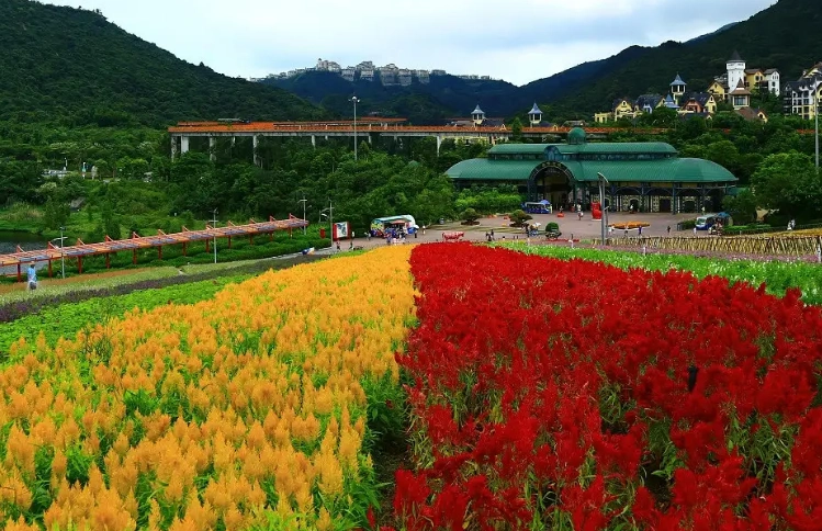 深圳东部华侨城游茶溪谷攻略东部华侨城茶溪谷开放时间