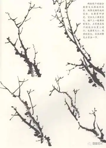 国画入门自学教程,国画梅花作品创作步骤示范!