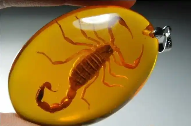 琥珀品质一般看什么