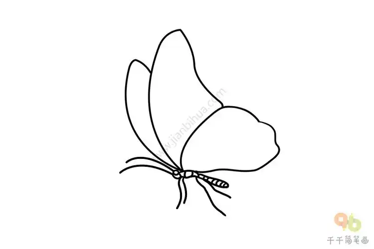 美丽的帝王蝶简笔画
