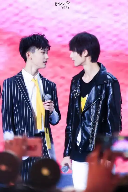 马嘉祺丁程鑫侵删