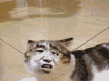 389_290gif 动态图 动图