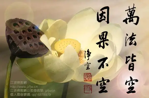 因果报应真实不虚!